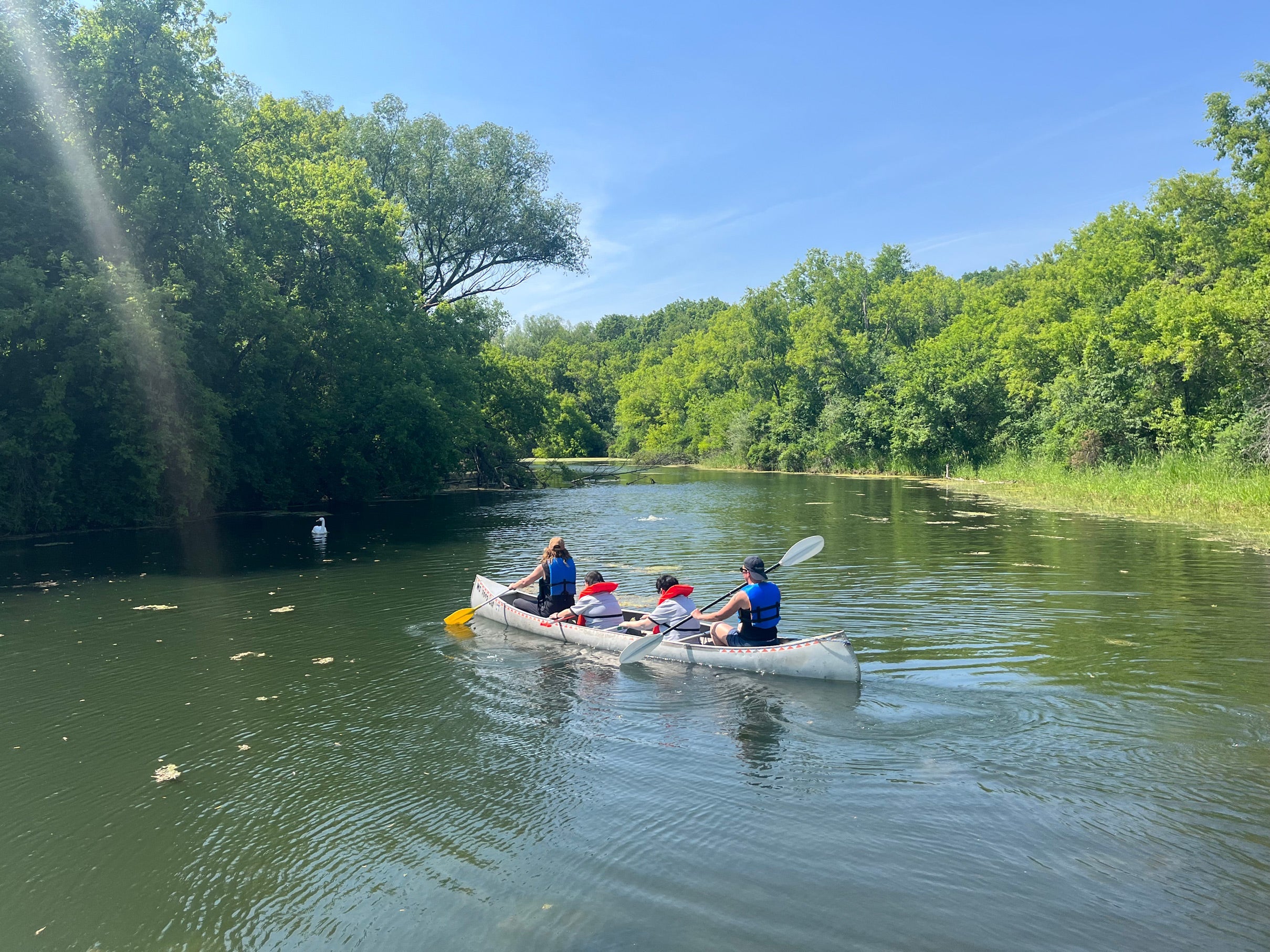 What is Search for Adventure?