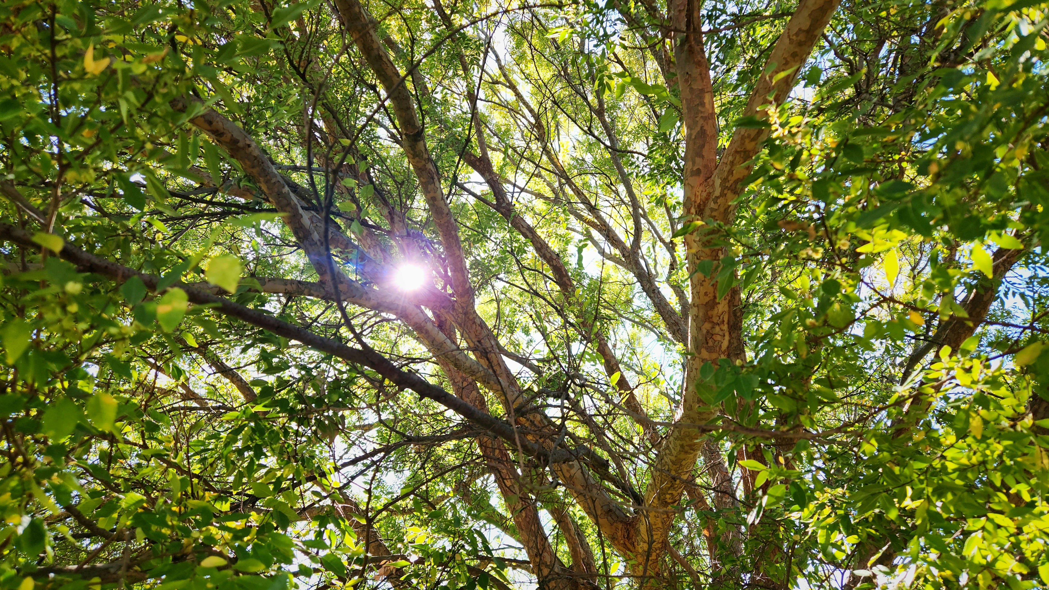 Positive Climate News (It Does Still Exist!)