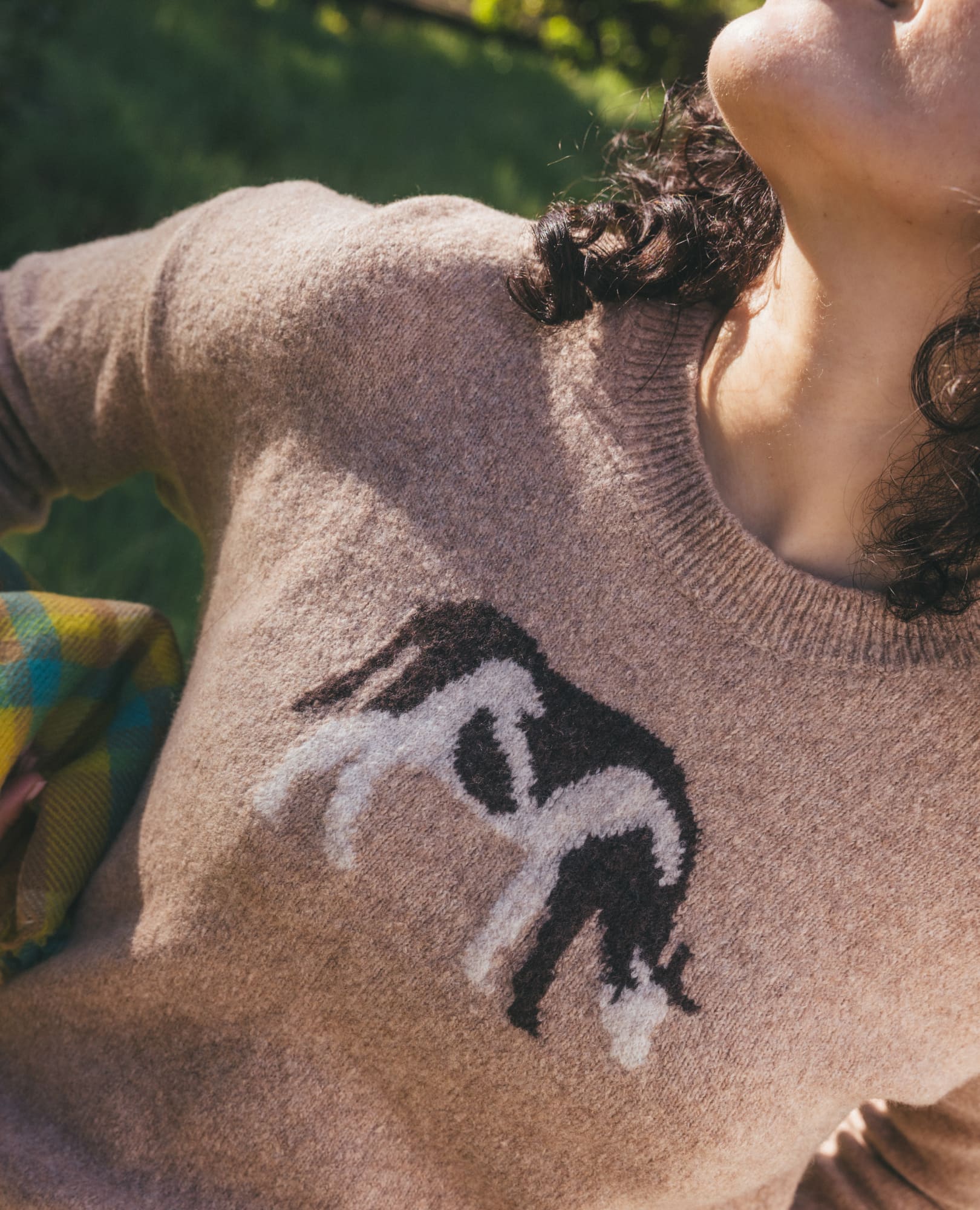 Women's Wasatch Crew Sweater