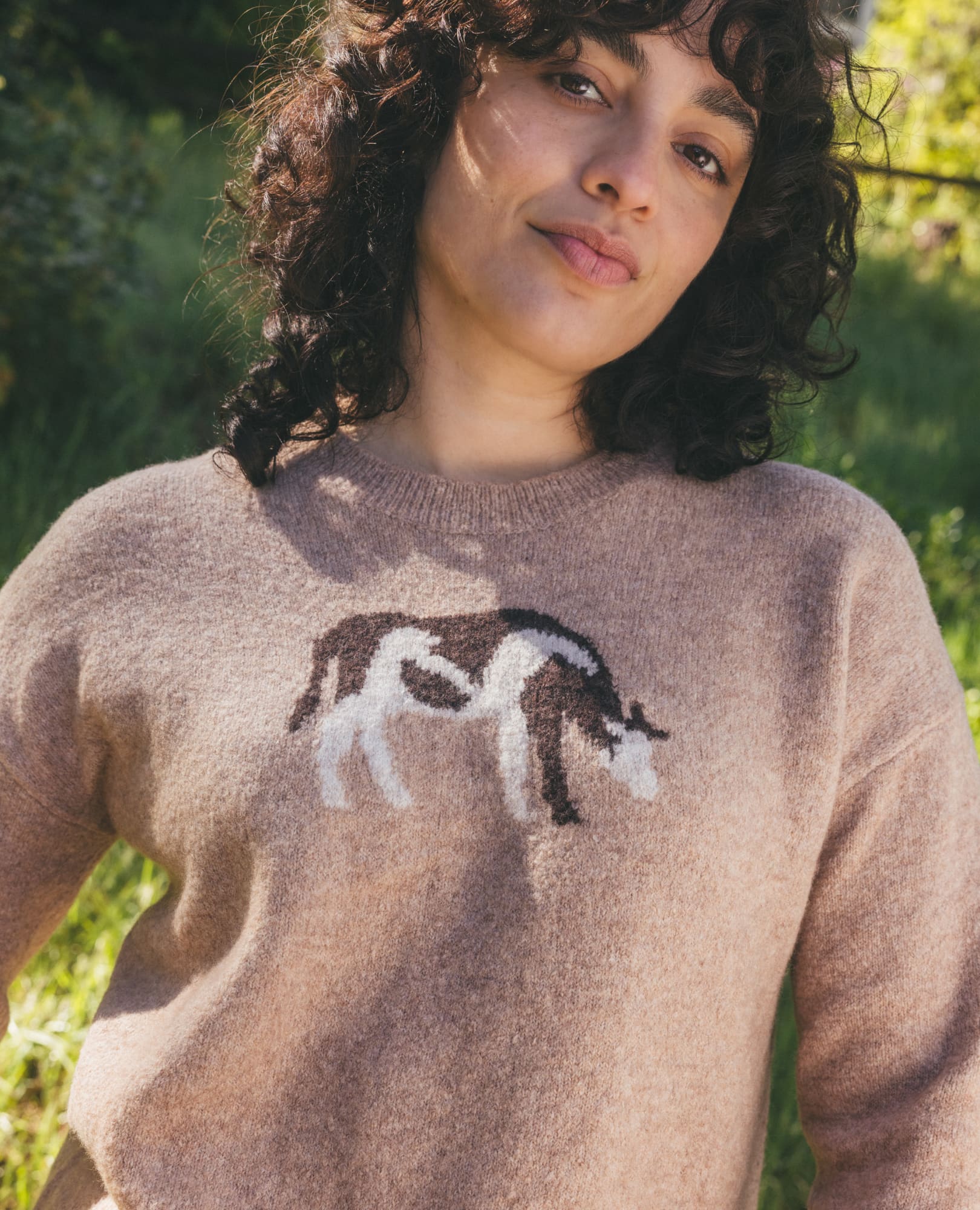 Women's Wasatch Crew Sweater