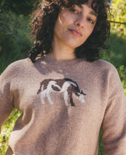 Women's Wasatch Crew Sweater