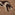 Cattail Jacquard Pattern