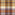 Aster Madras