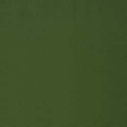 Epidote