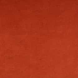 Cinnamon