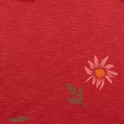Canoe Gerbera Print