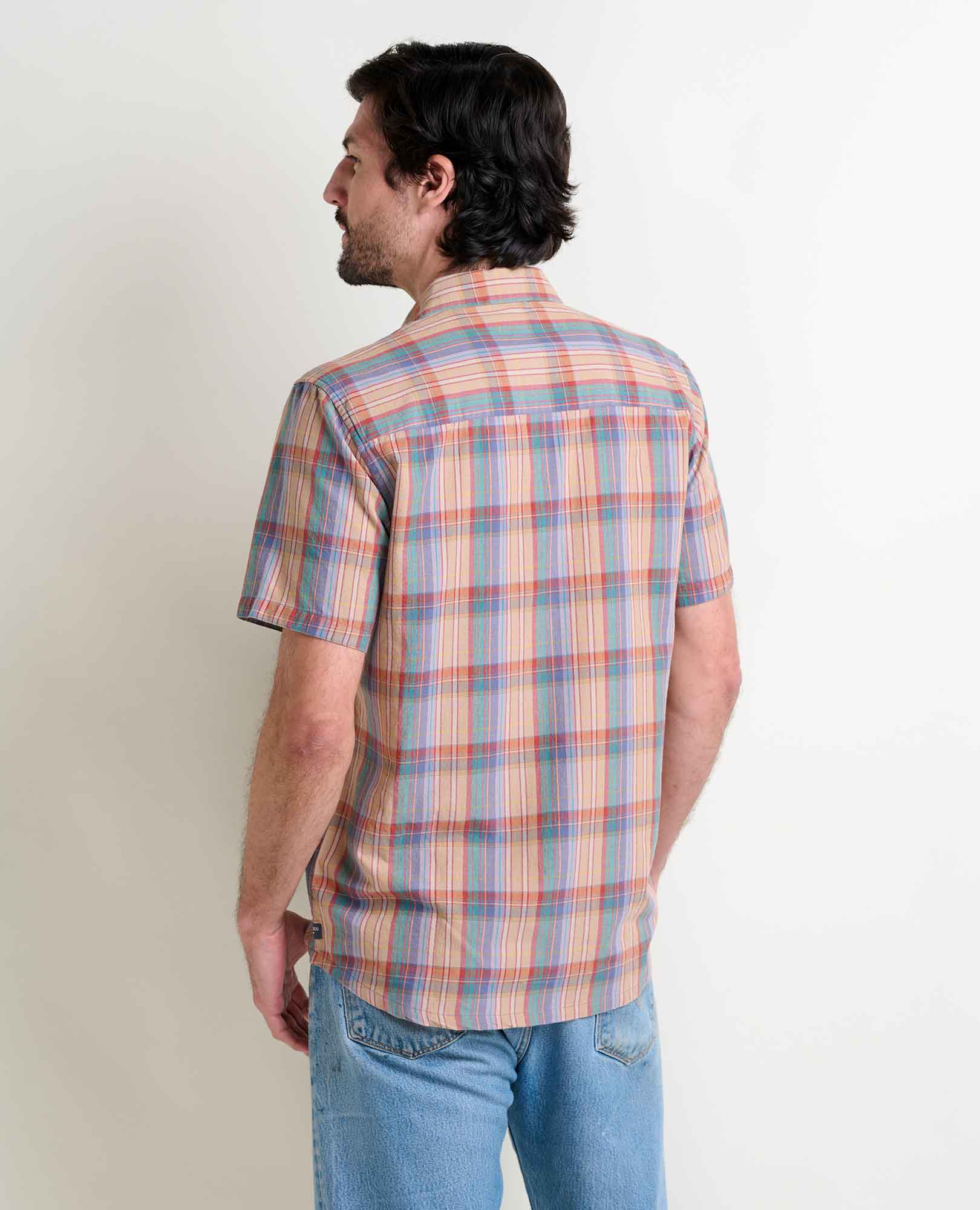 T2002014-Aster_Plaid-2.jpg