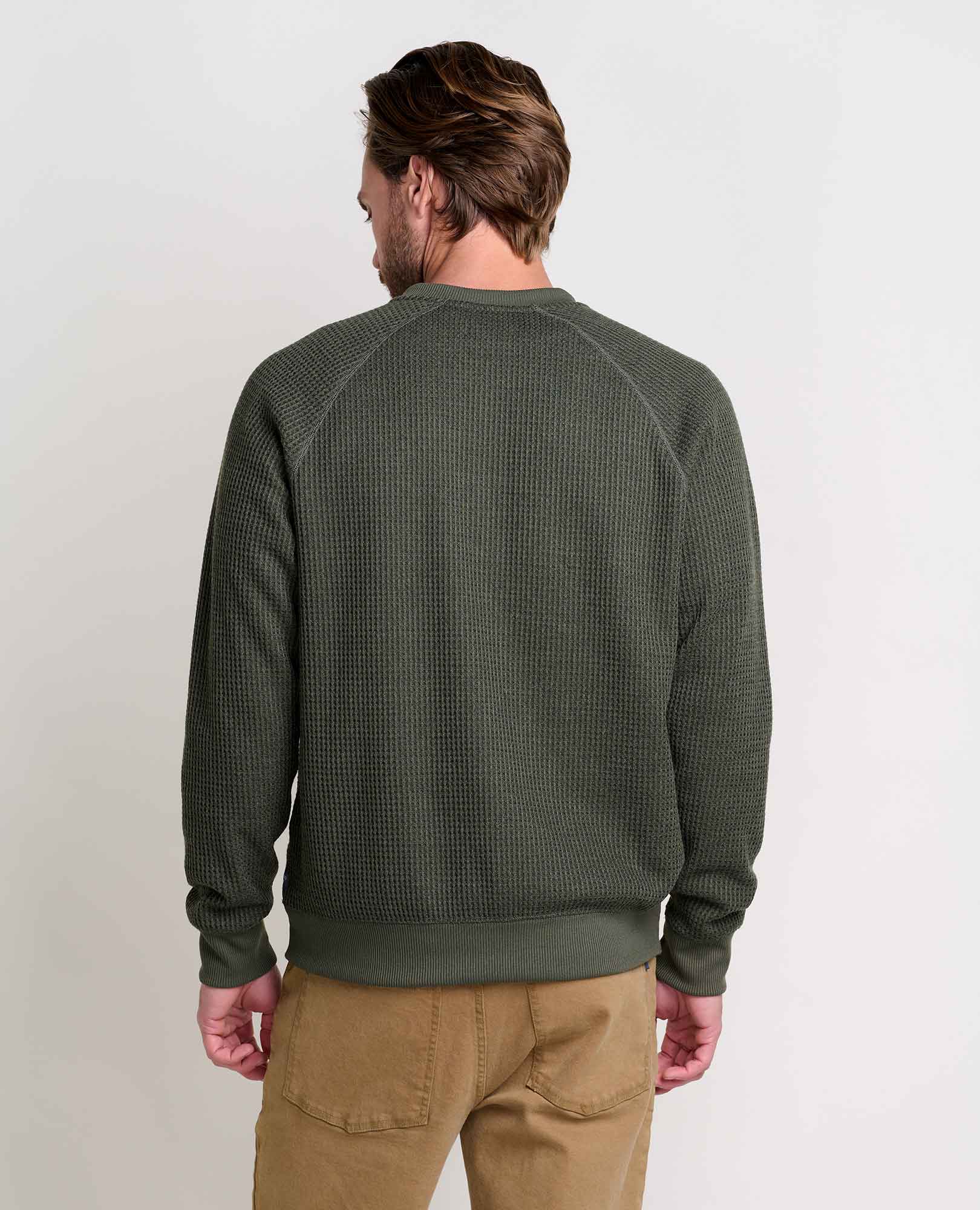 T2241406-Olive-2.jpg